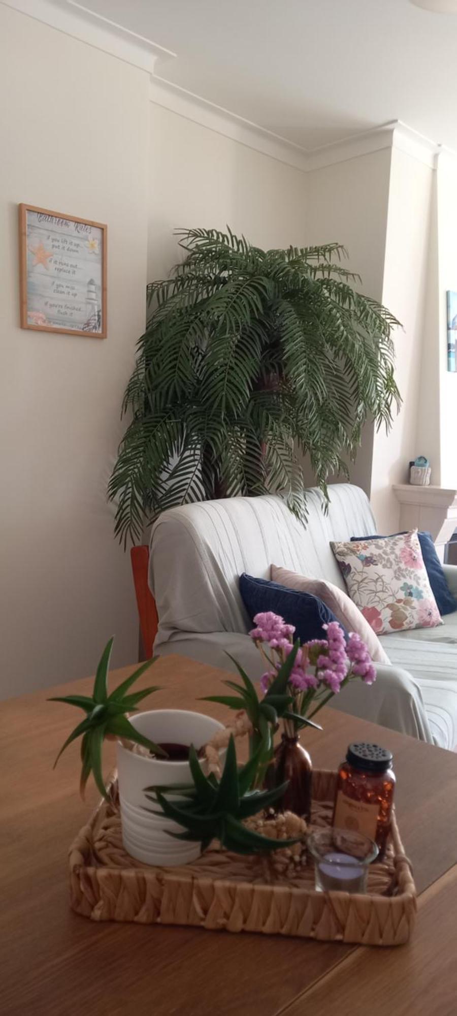 Filipe'S House Apartment Балеал Екстериор снимка